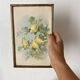 Framed zoological engraving of canary birds.
