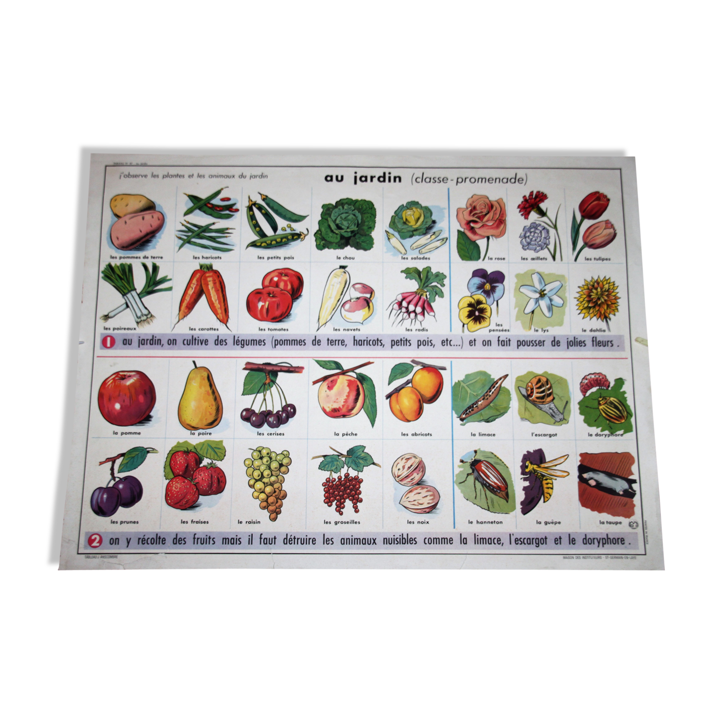 Poster school vintage MDI in the fields and garden 47 and 48