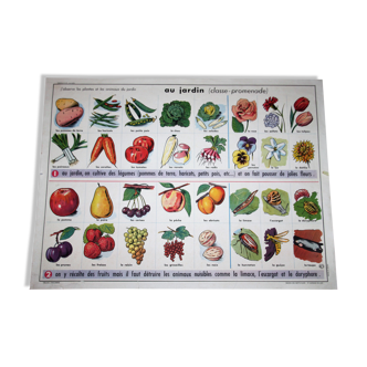 Affiche scolaire vintage MDI  Dans les champs et au jardin 47 et 48