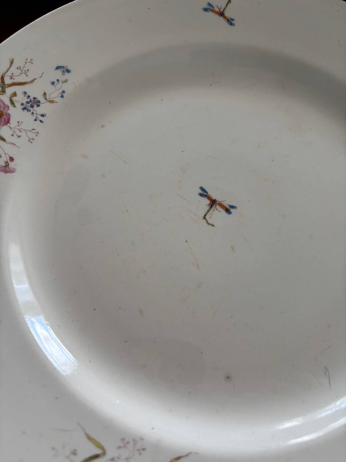 Set of 6 soup plates and 1 dish in polychrome ironstone Choisy-le-Roi