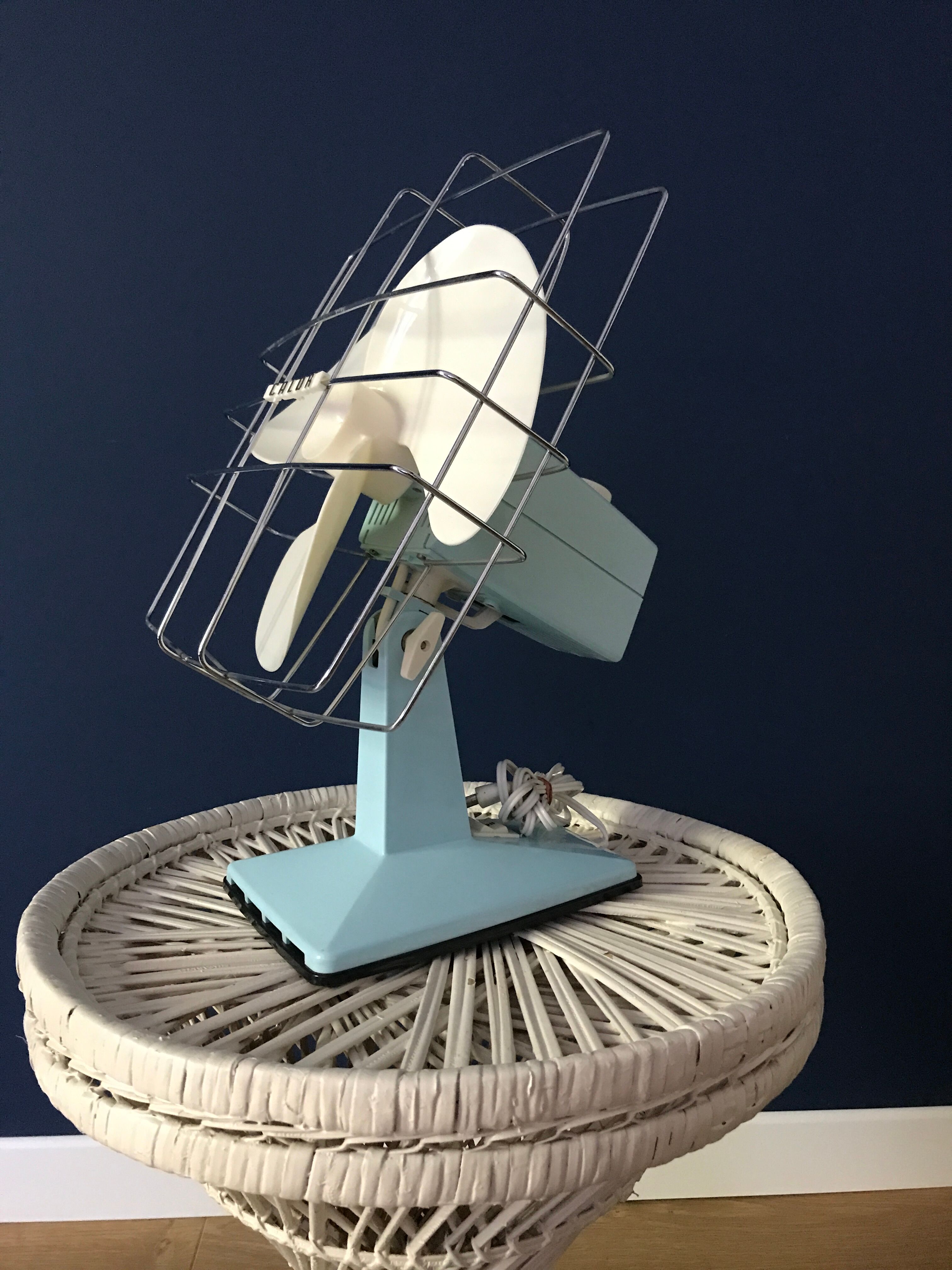 Vintage calor tilting fan mint