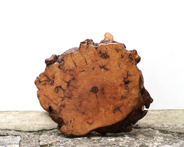 Table d'appoint brutaliste tripode en bois, années 50