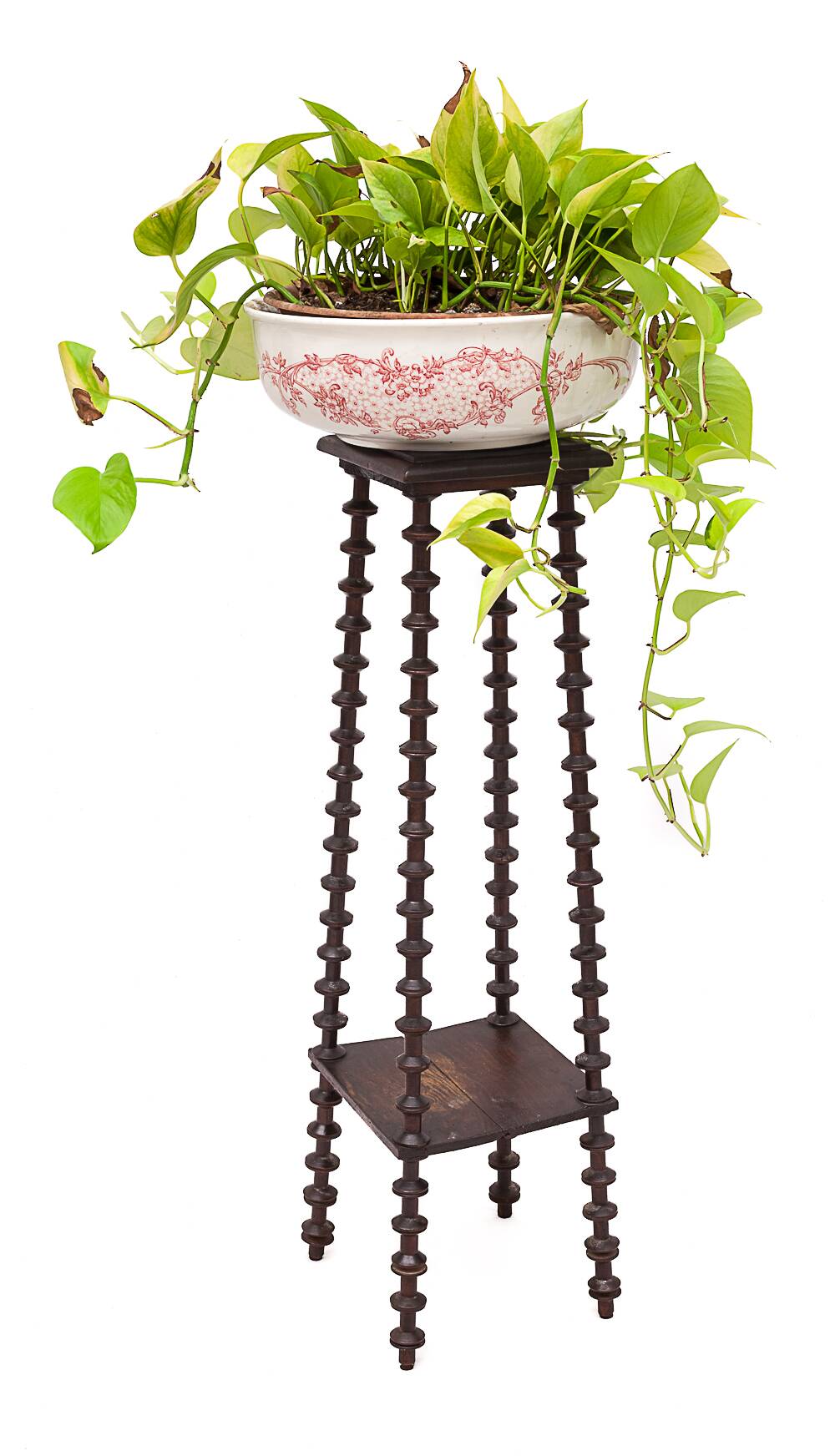 Vintage harness, 1960