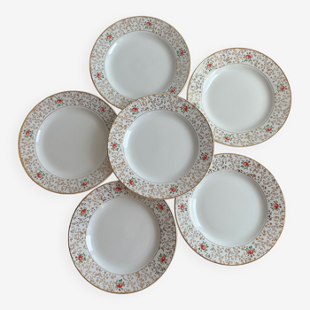 Lot de 6 assiettes Digoin