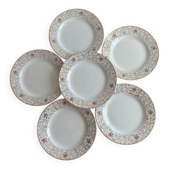 Set of 6 plates Digoin