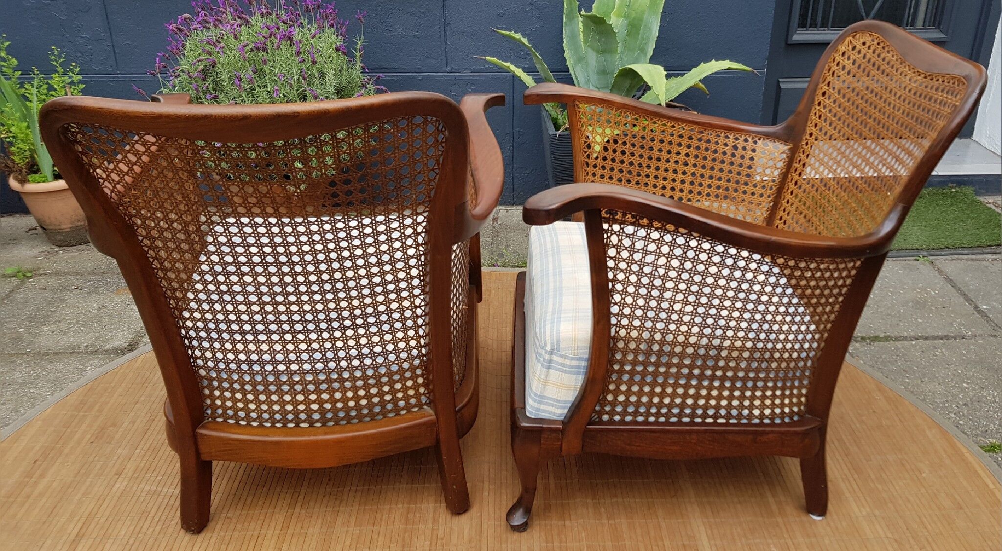 English canine armchair