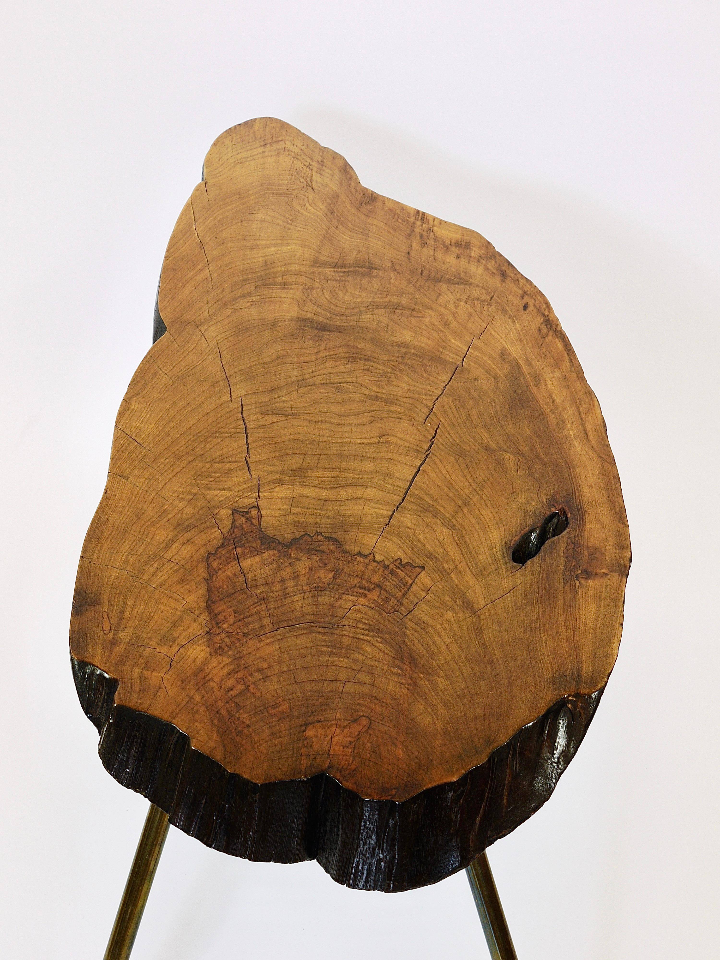 Original coffee table by Carl Aubock, large tree trunk in walnut from the mid-century, 1950s.