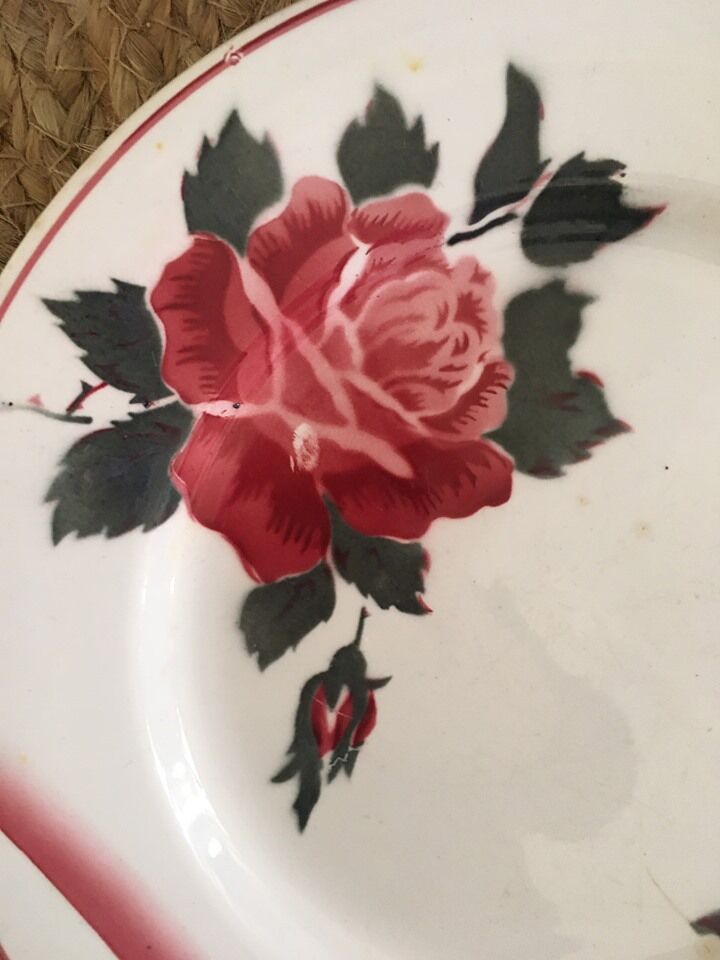 Flat plates with digoin roses sarreguemines