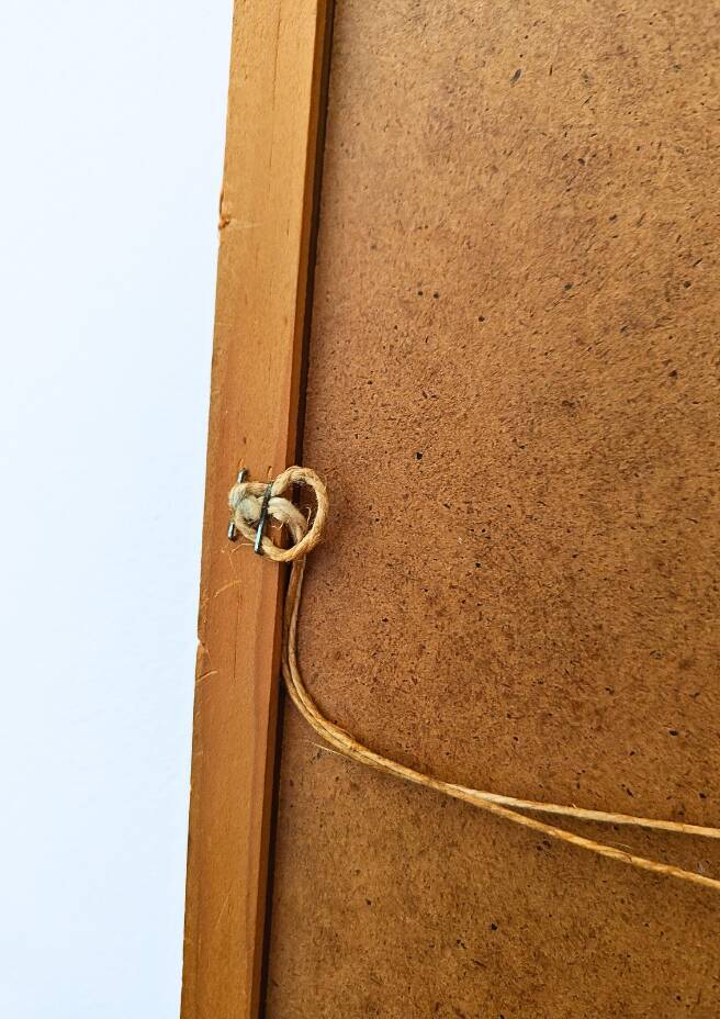 Pair of Botanical Plates 1905 – Peach & Pear – Poiteau