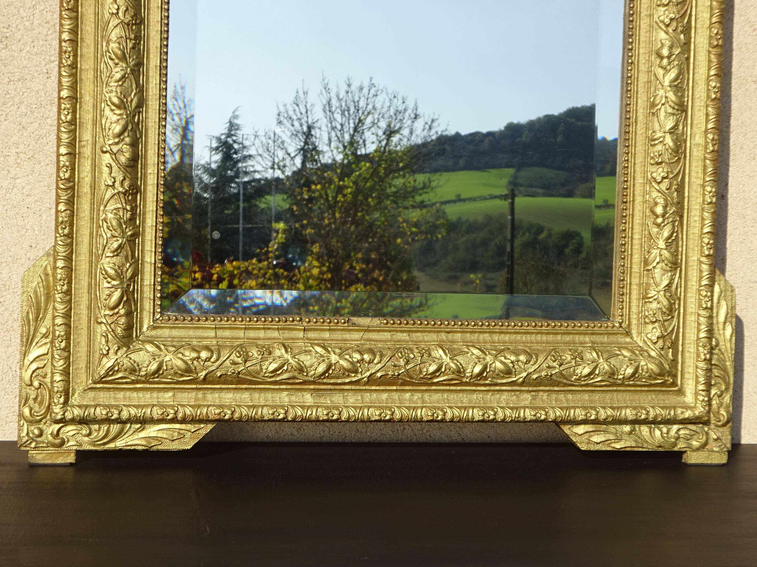Antique mercury mirror in the Napoleon III style.
