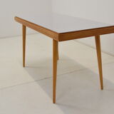 Mid-century Coffee Table,Interier Praha,1960's