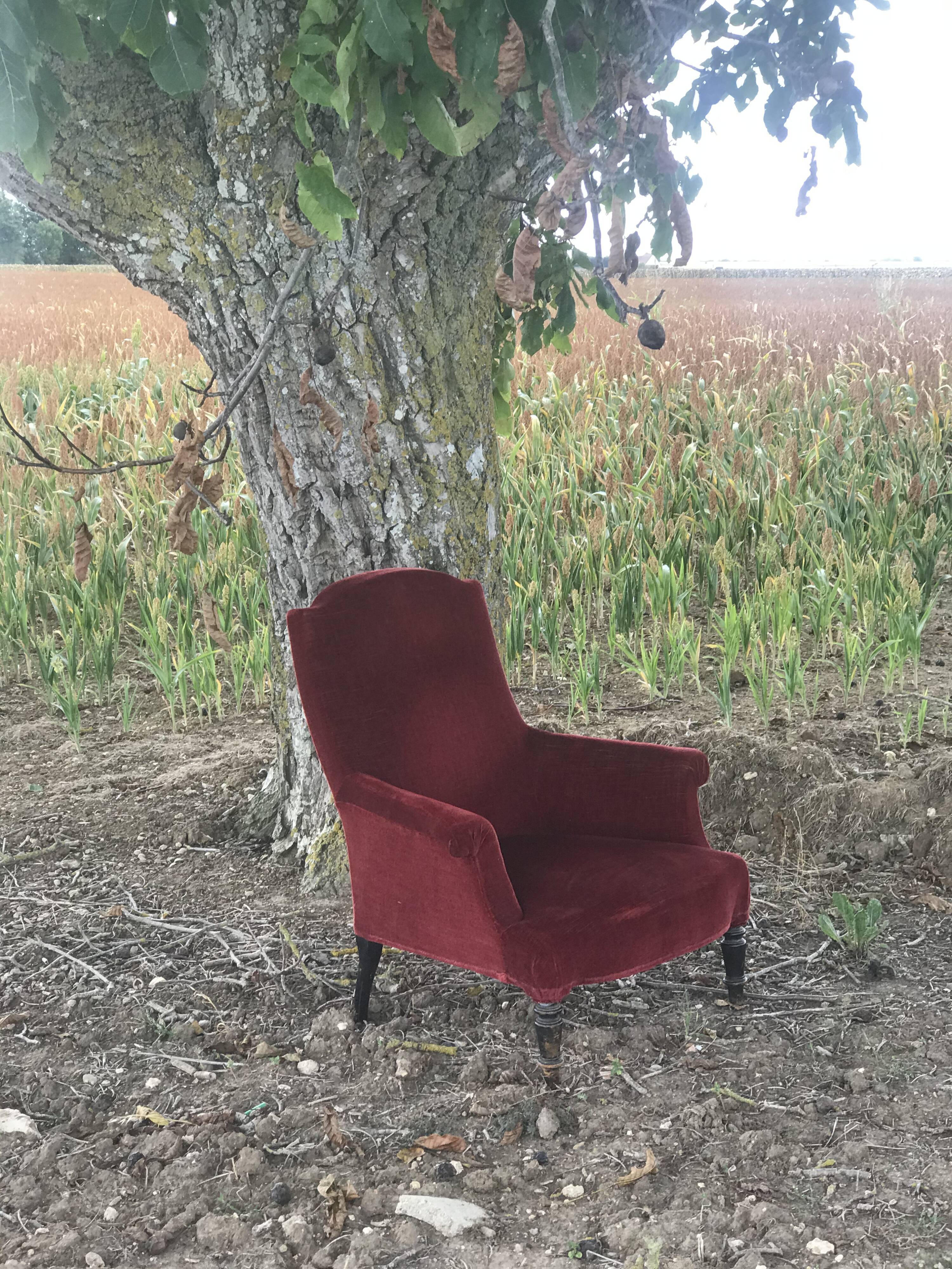 Bordeaux velvet english armchair