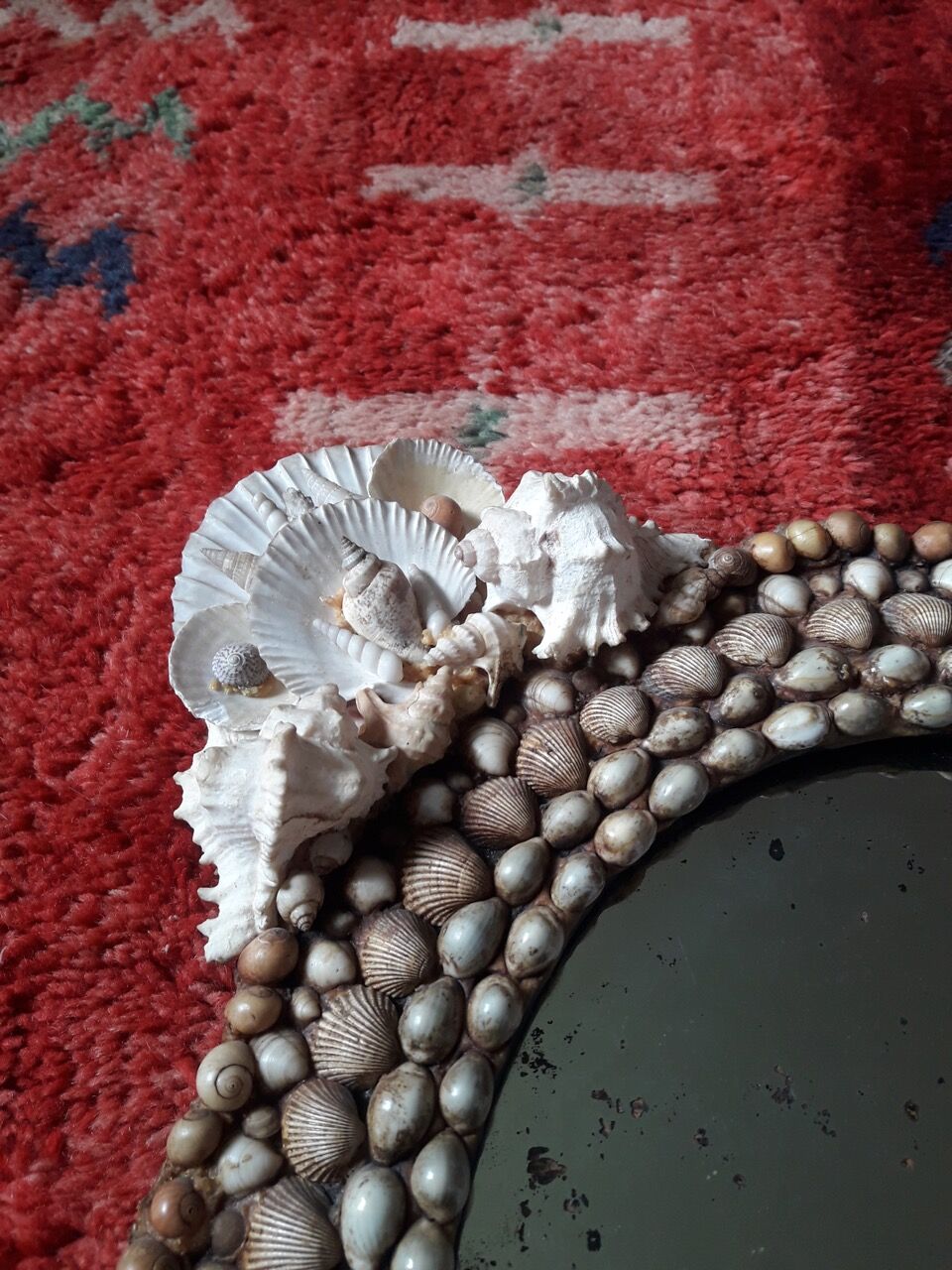 Mirror shells old