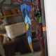 Parrot mirror