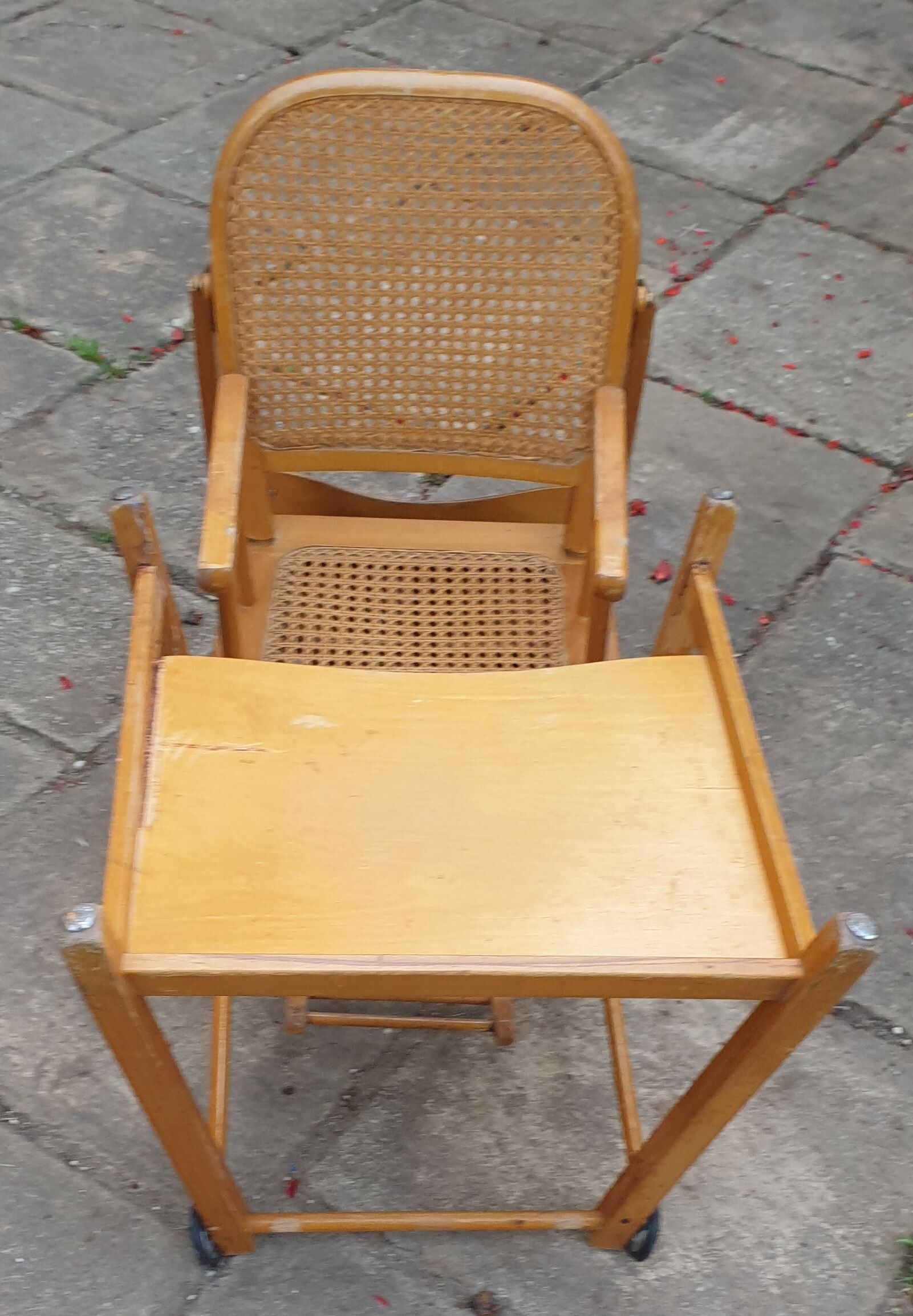 High canine chair convertible into wood