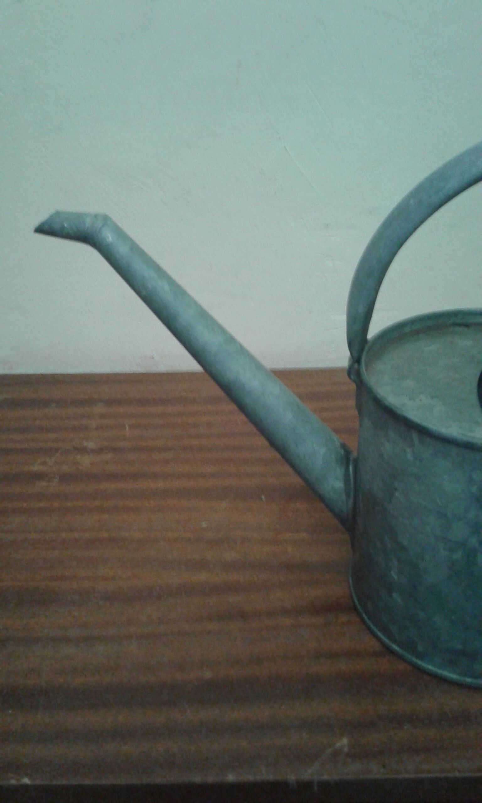 Zinc watering can
