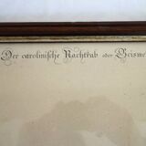 2 plates of ornithological bird engravings