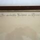 2 plates of ornithological bird engravings