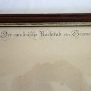 2 planches gravures ornithologiques oiseaux