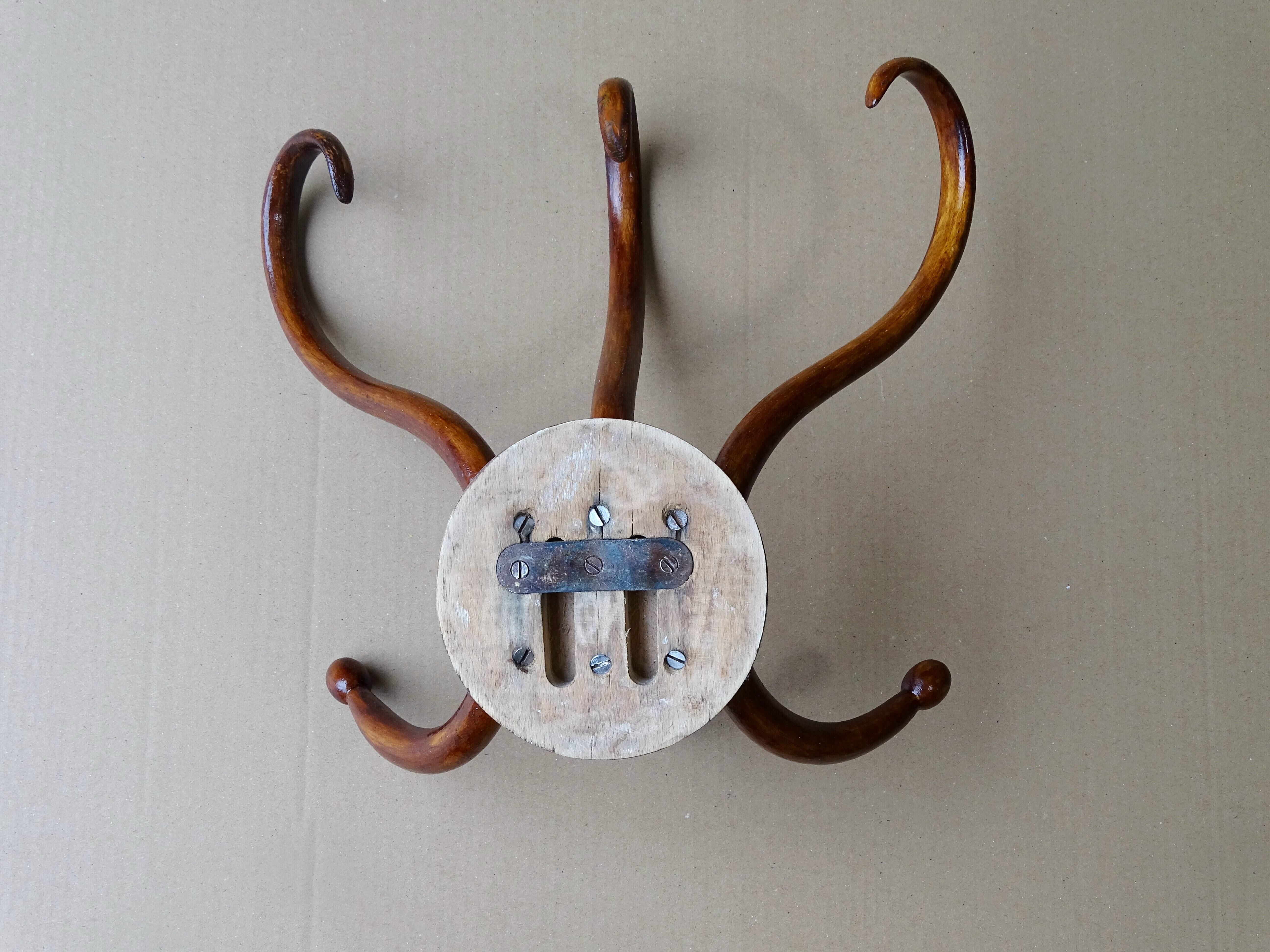 Coat hanger/wall with 3 patères Kohn 1900