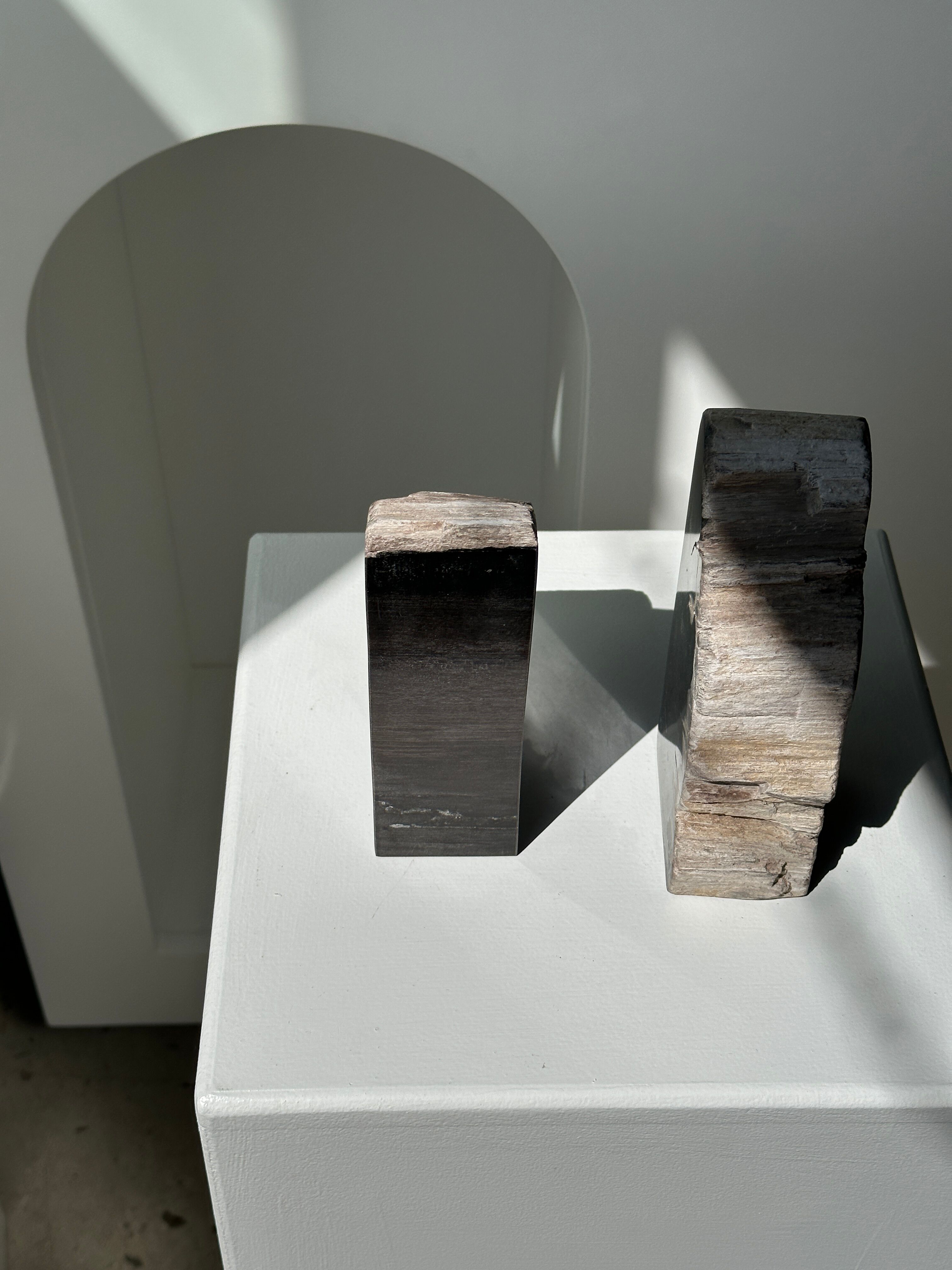 Black petrified wood bookend H17 L17 P6