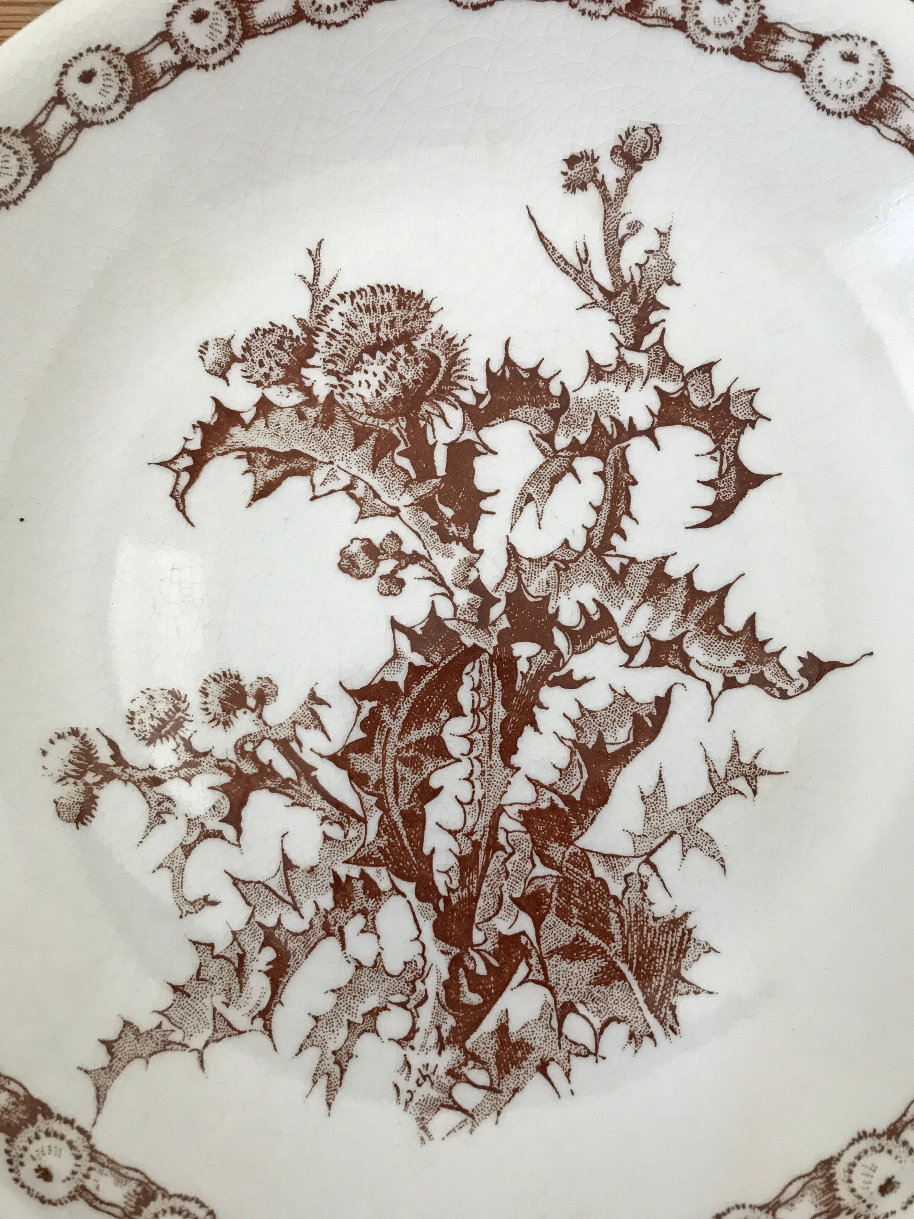 Series of 6 flat plates old model "Thistles" Gien