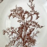 Series of 6 flat plates old model "Thistles" Gien