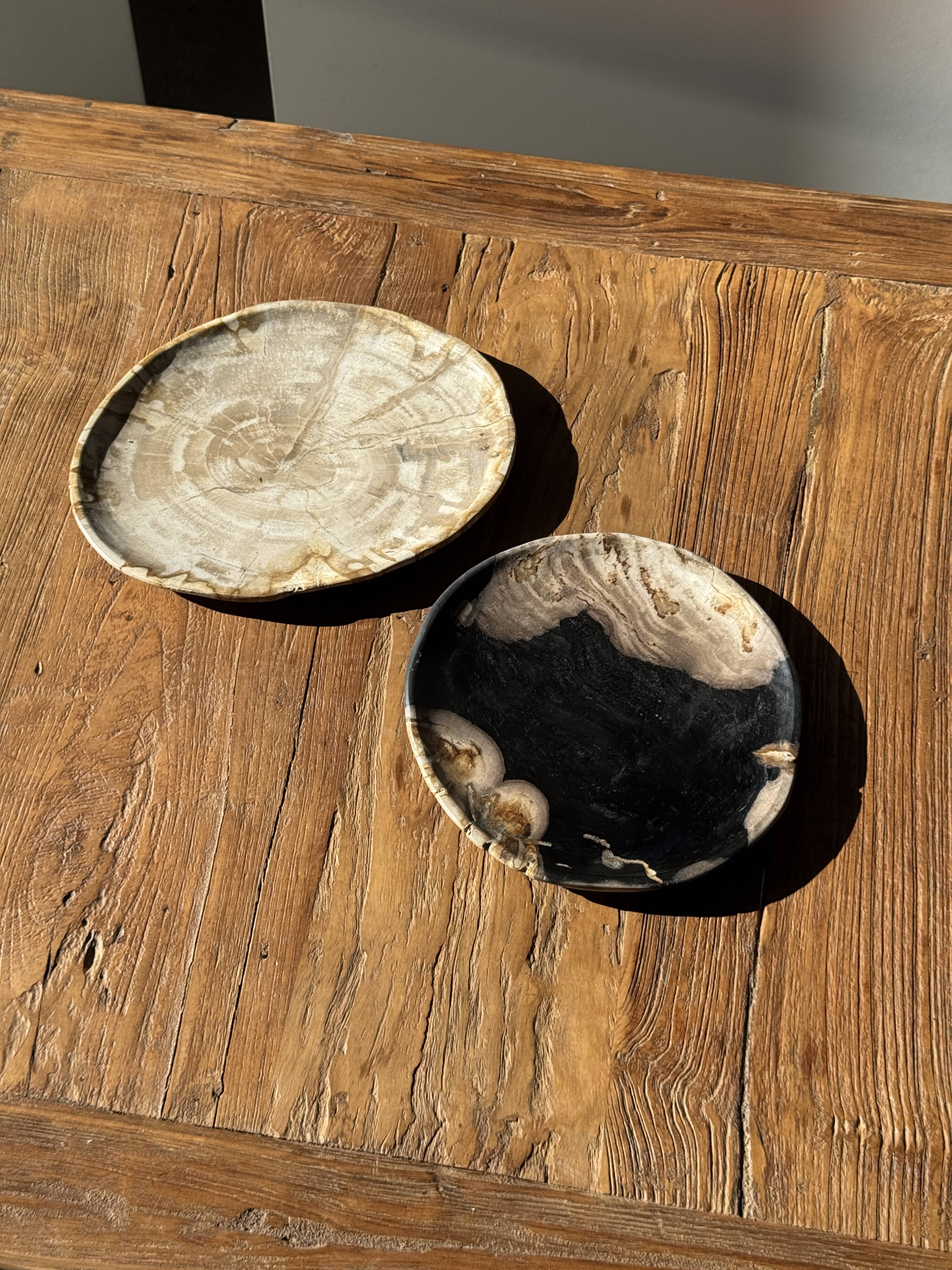 Small pocket tray or dish in black and beige petrified wood D20.5 -3317