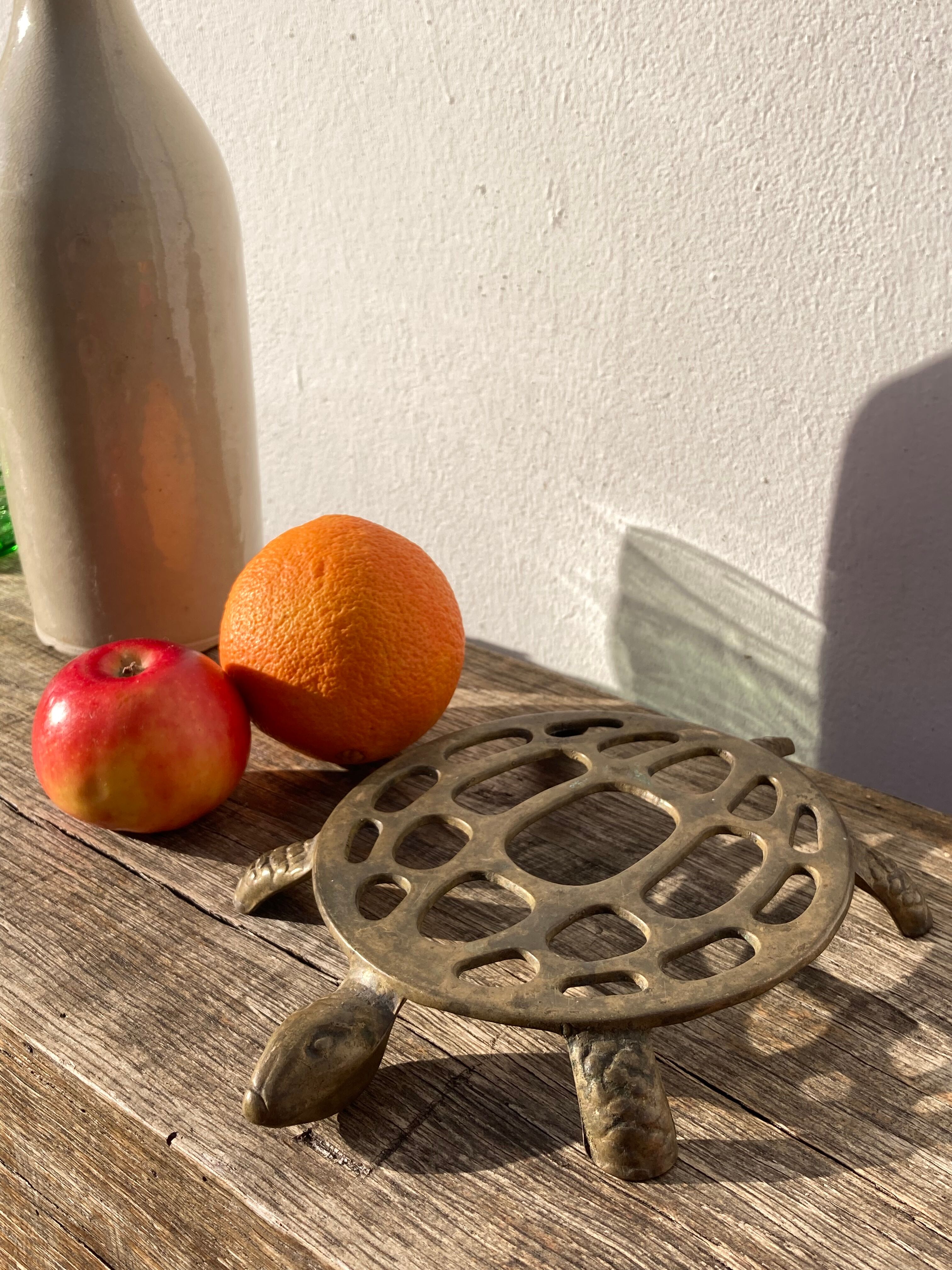 Vintage brass turtle trivia