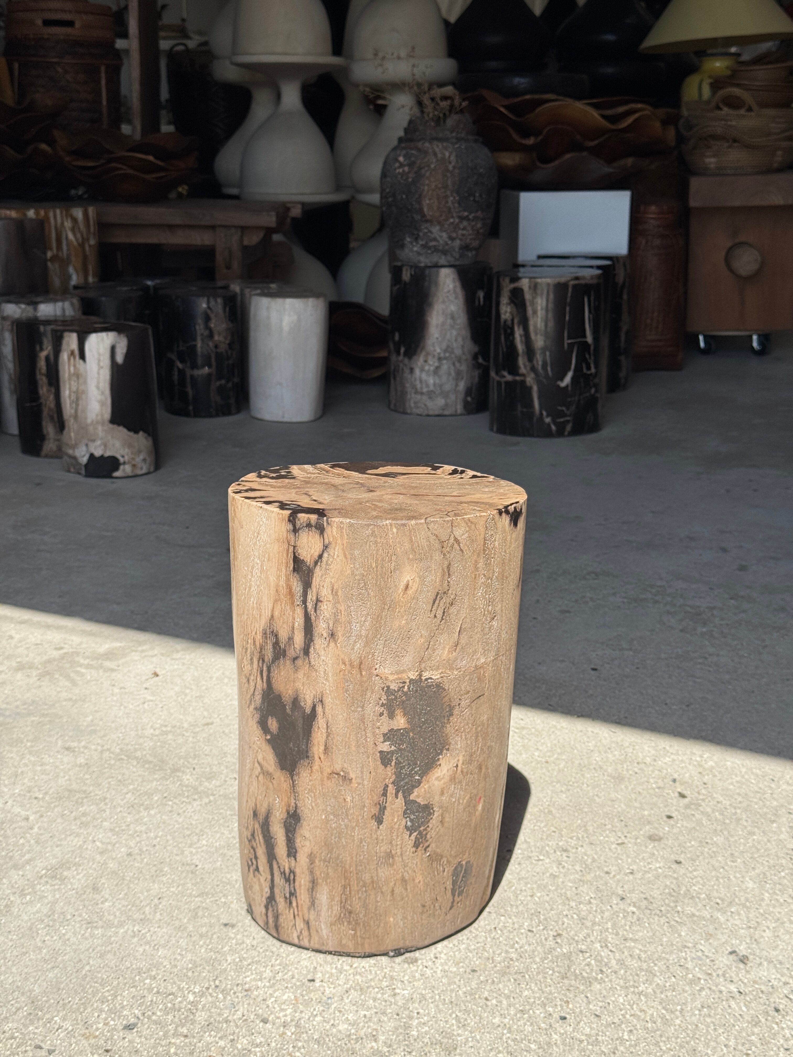 Brown and black petrified wood side table H35 D27 - 3333