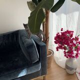 Blue velvet sofa nv gallery