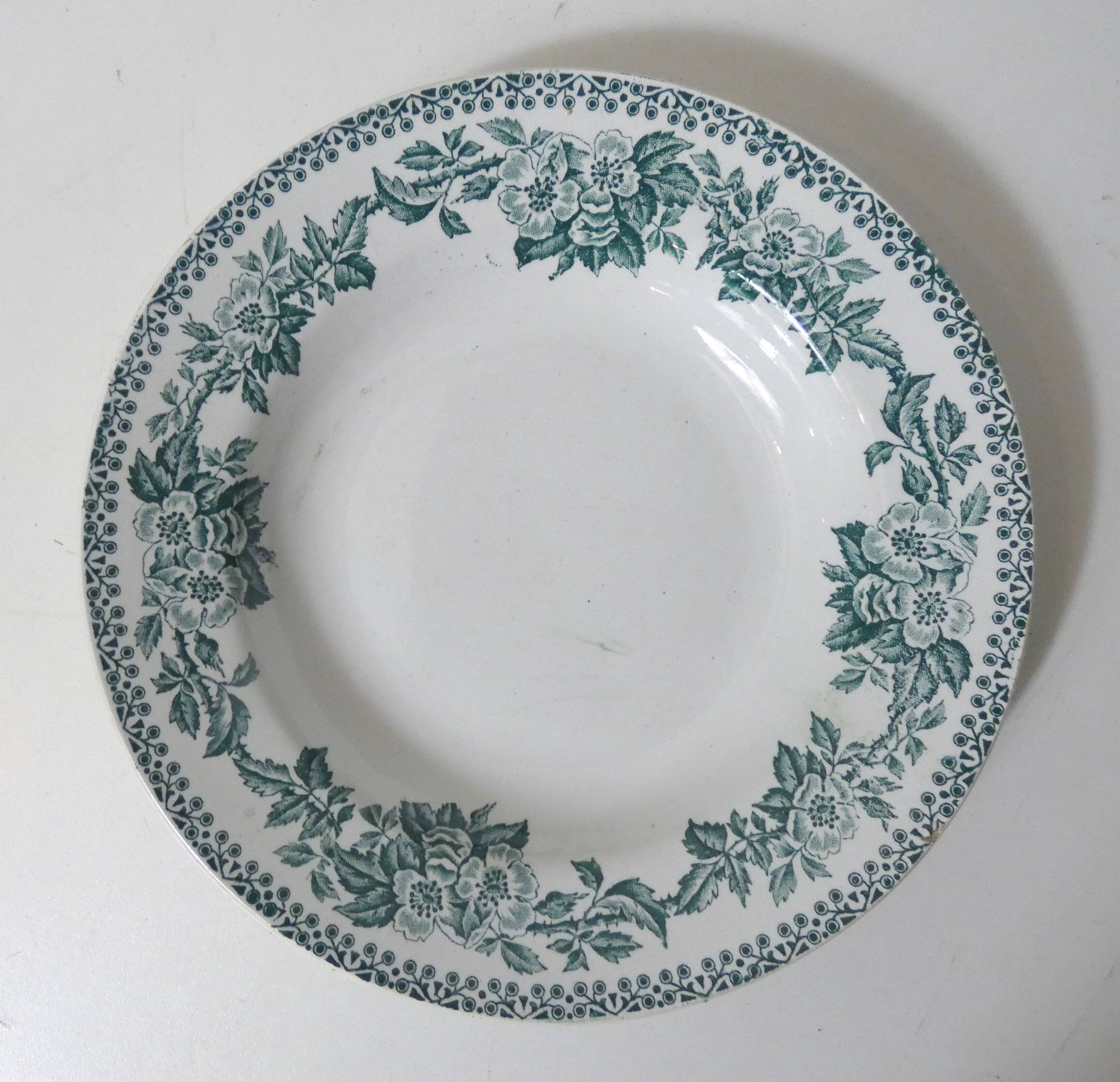 Iron earth 5 deep plates model flowers eglantines guadeloupe