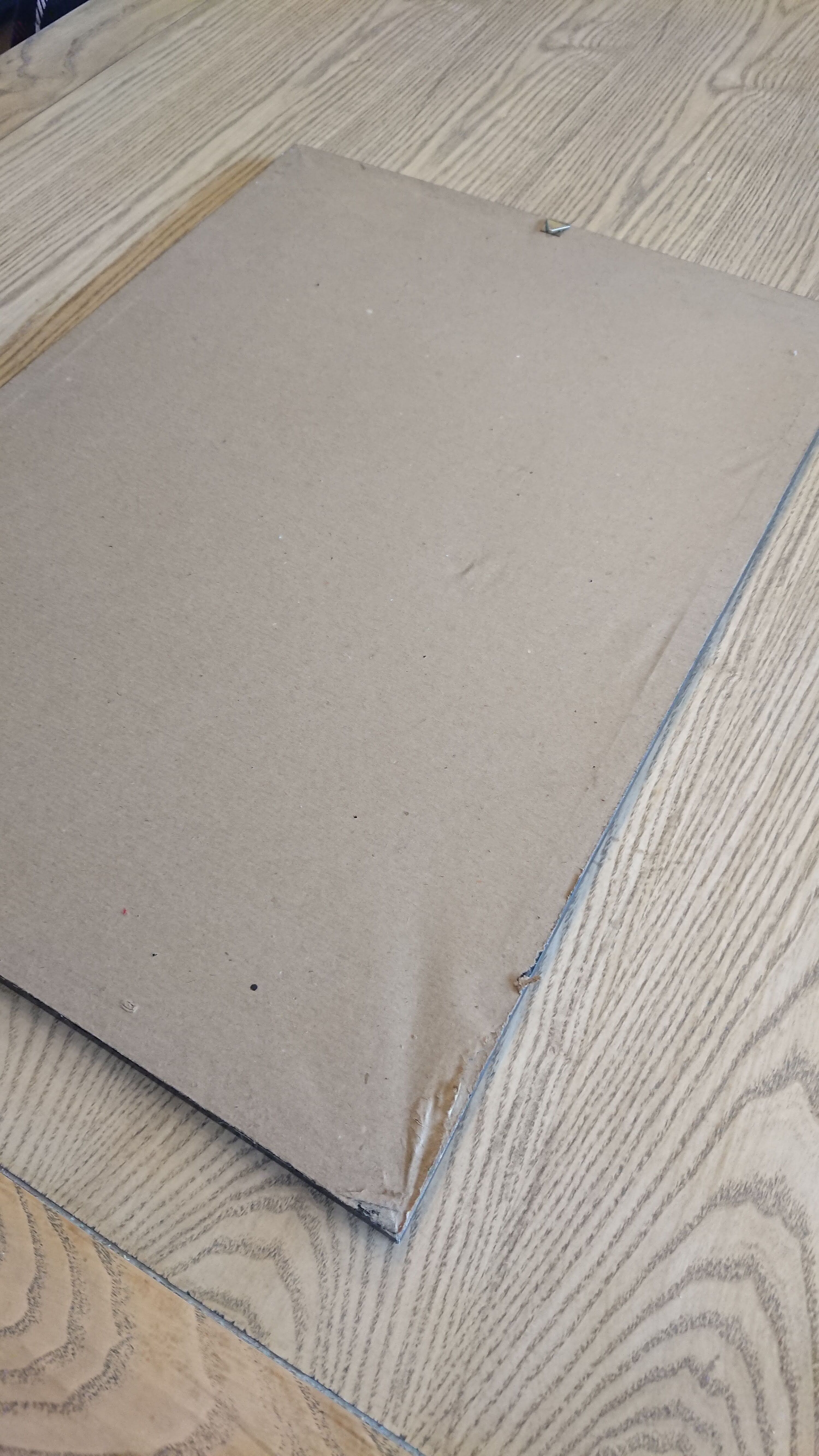 Painting on paper of Amate birds and flowers