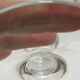 Coupe cristal Val St Lambert