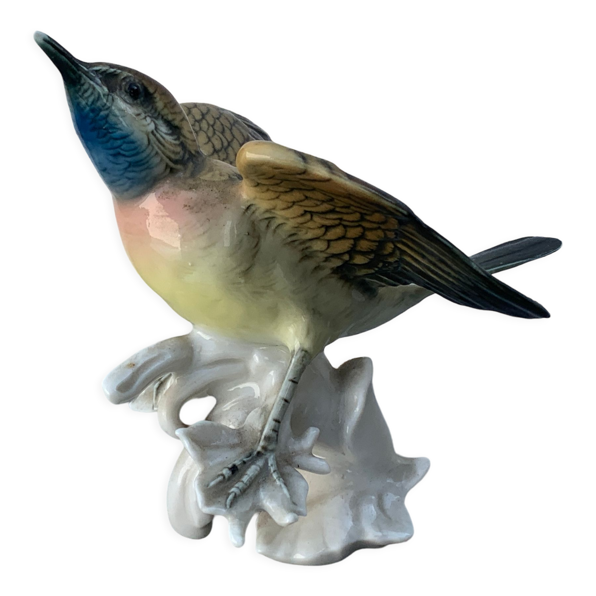 Bird numbered and signed Karl Ens, in Saxon porcelain, nineteenth century