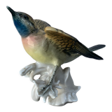 Bird numbered and signed Karl Ens, in Saxon porcelain, nineteenth century