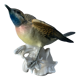 Oiseau numéroté et signé Karl Ens, en porcelaine de Saxe, XIXème siècle