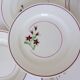 5 flat plates from Salins 210646