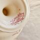 Antique Longchamp compote dish in pink ironstone – Exotic model