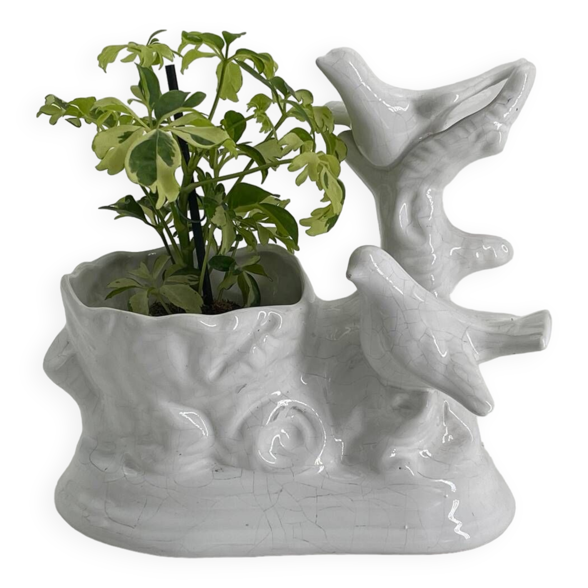 Vintage white porcelain dove planter