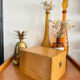 Old wooden plug box