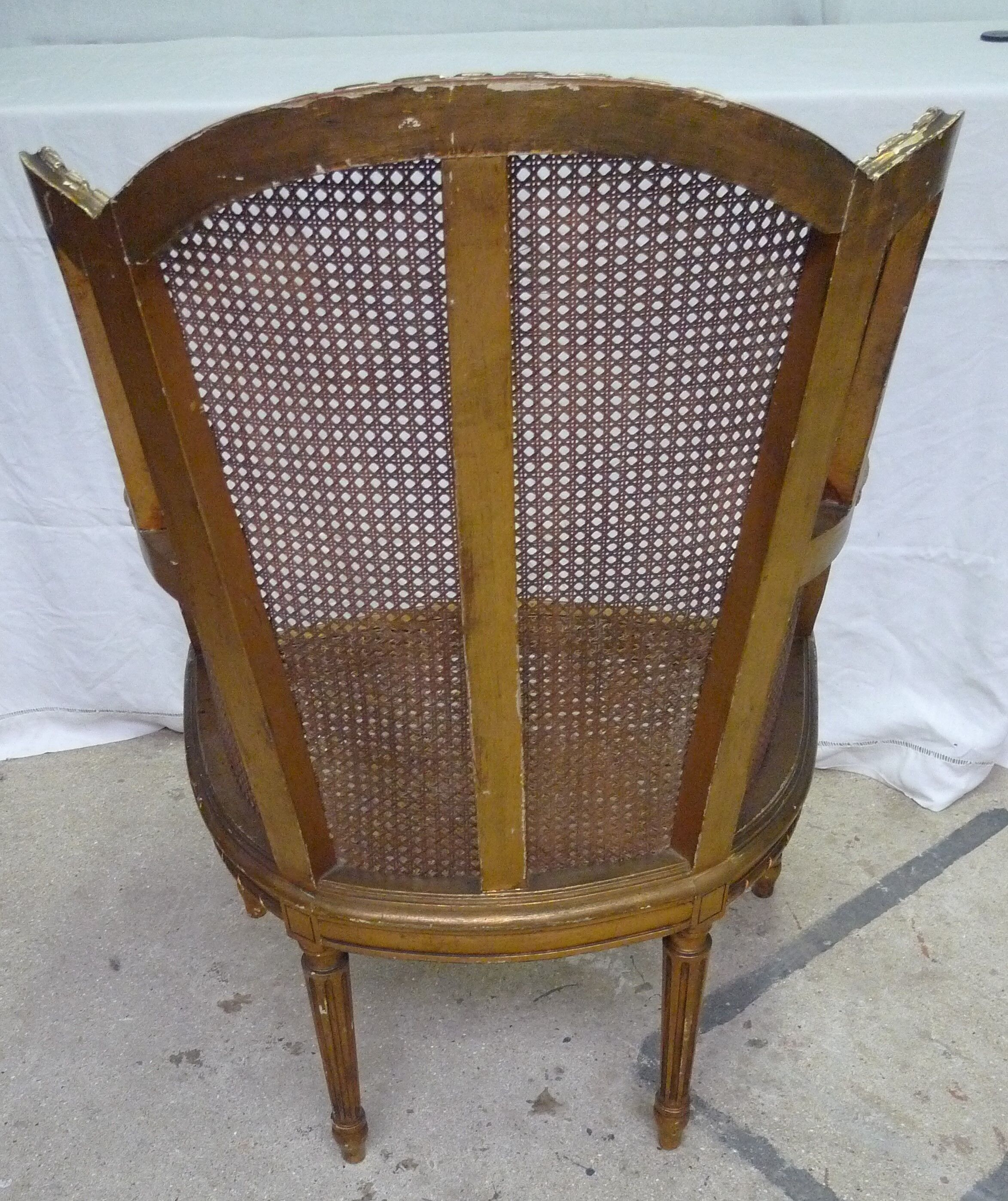 Bergere in ear canning