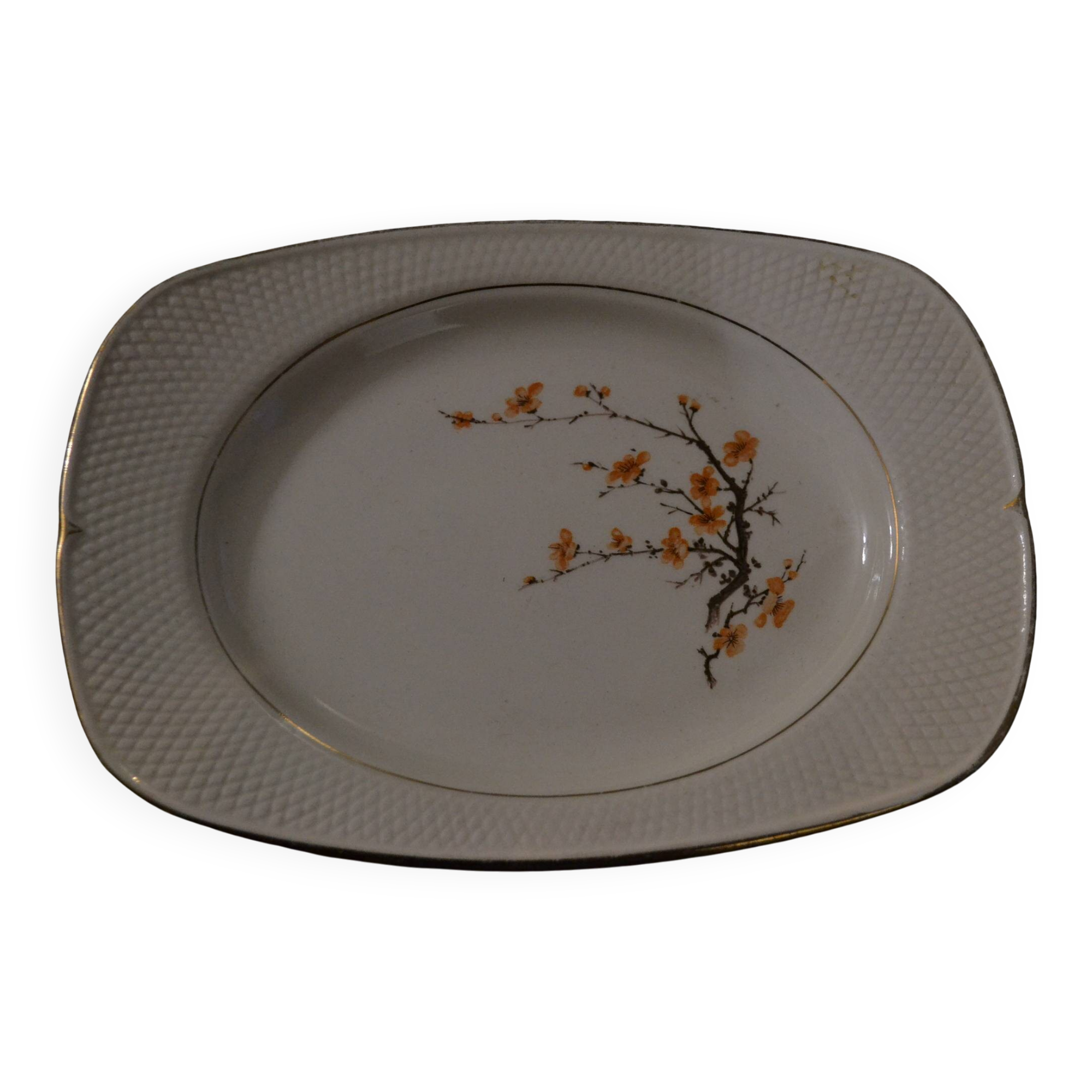 Plat Belle Epine Salins