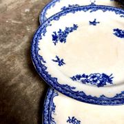 6 assiettes plates Staffordshire en terre de fer bleue