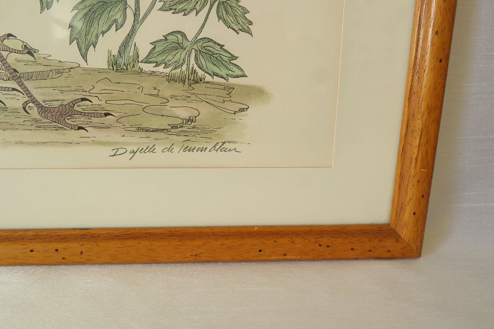 Tableau vintage aquarelle ducks of terronblan monbaly dayelle