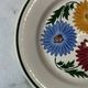 Set of 6 Chalons plates Digoin Sarreguemines with painted floral decoration.