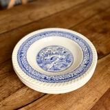 Lot assiettes bleues
