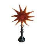 Starfish solaster dawsoni