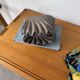 Brutalist wood shell sculpture box 1900