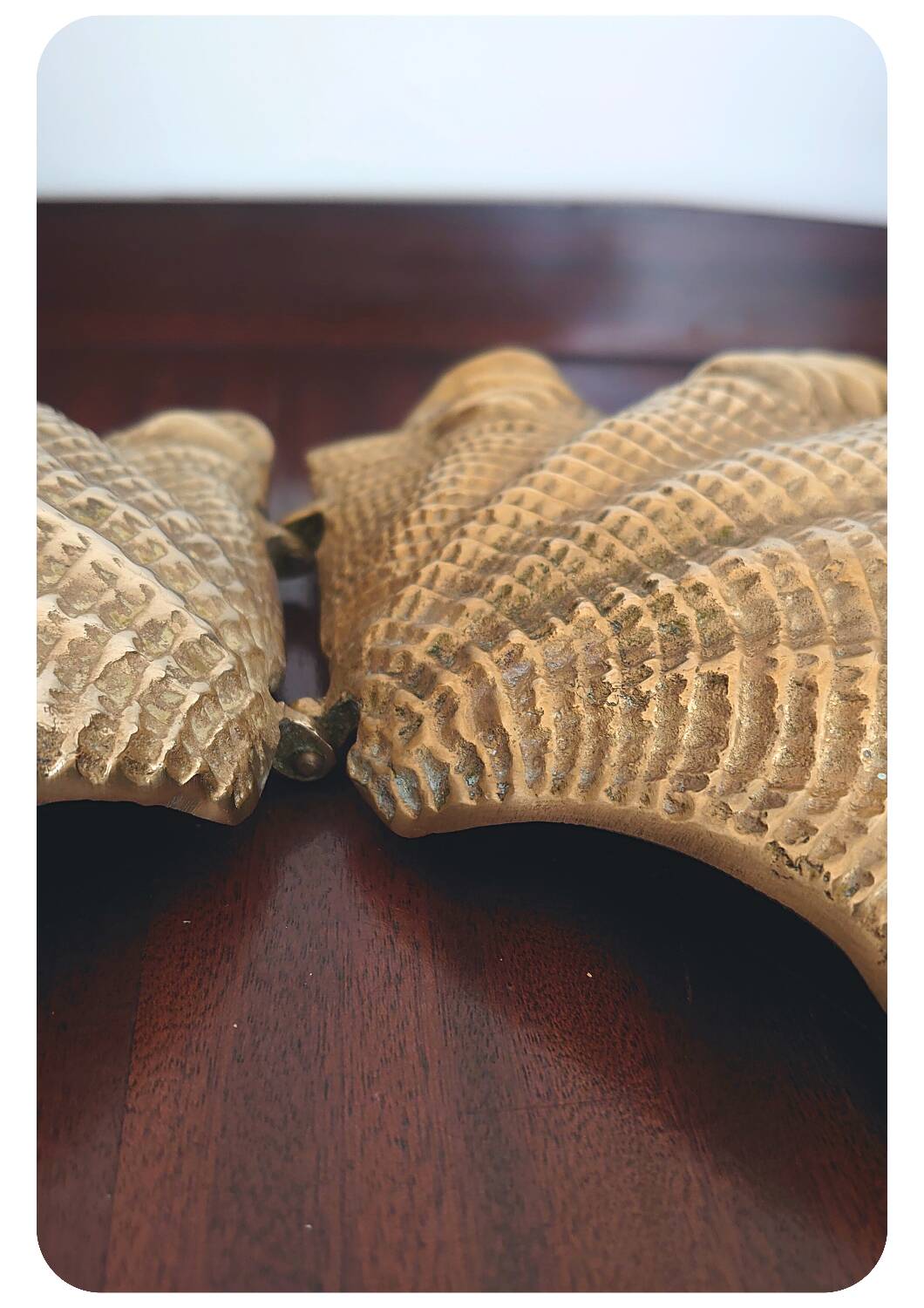 Boîte à coque en laiton moulé